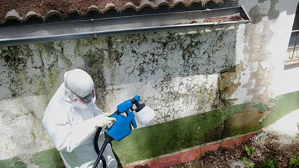 Top rated local Attic Mold Remediation specialists in Thompsontown, PA